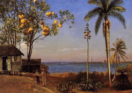 Artwork Title: A View in the Bahamas
