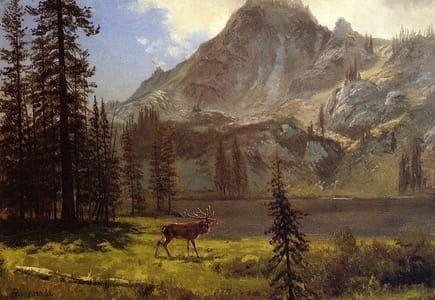 Artwork Title: Call of the Wild