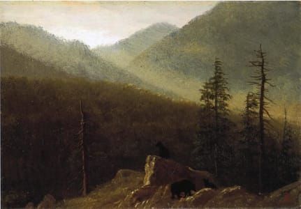 Artwork Title: Bears in the Wilderness