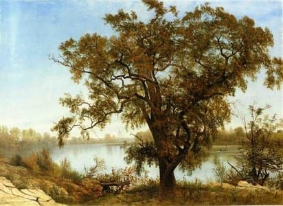 Artwork Title: A View from Sacramento