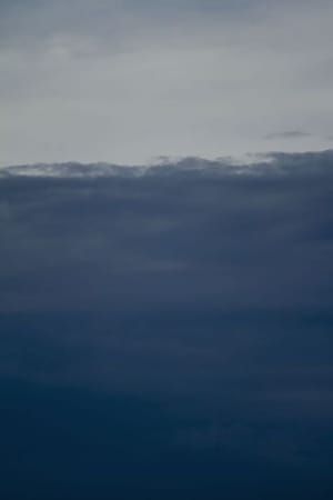 Artwork Title: An44