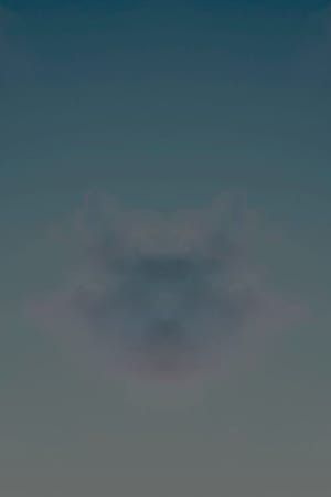 Artwork Title: Rorschachcloud 81