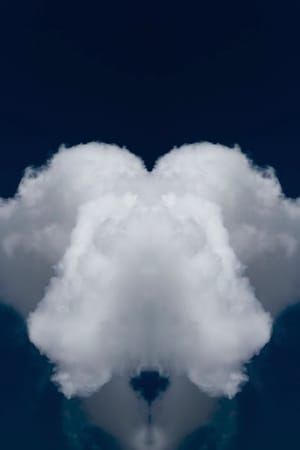 Artwork Title: Rorschachcloud 109