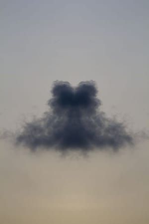 Artwork Title: Rorschachcloud18