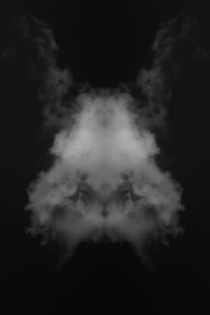 Artwork Title: Rorschachcloud 76