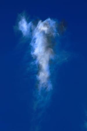 Artwork Title: Rorschachcloud 121