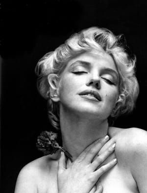 Artwork Title: Marilyn