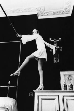 Artwork Title: Twiggy