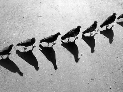 Artwork Title: Untitled