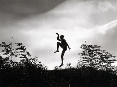 Artwork Title: The dancing faun