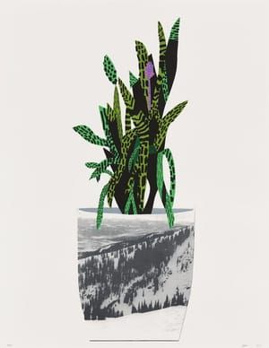 Artwork Title: Untitled