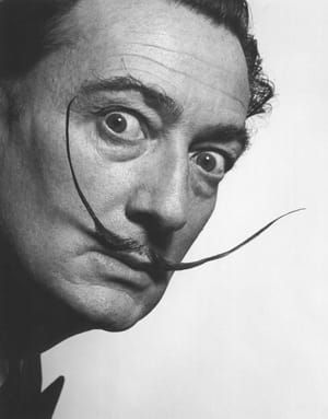 Artwork Title: Salvador Dali