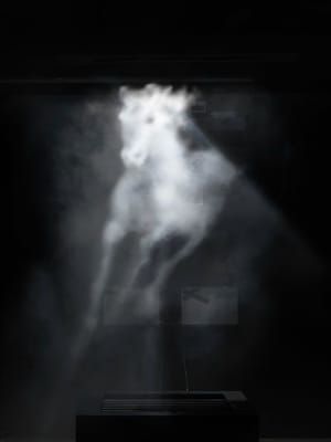 Artwork Title: As Yet Untitled (tristar Horse)
