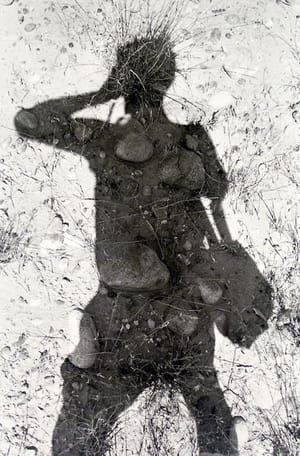 Artwork Title: Untitled