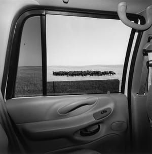 Artwork Title: Nebraska