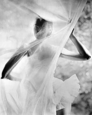 Artwork Title: Untitled