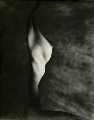 Artwork Title: Untitled