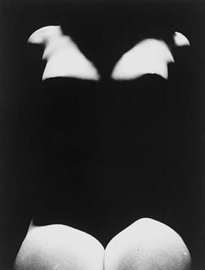 Artwork Title: Untitled (nude With Shadows)
