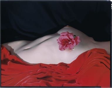 Artwork Title: Untitled