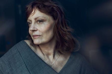 Artwork Title: Susan Sarandon