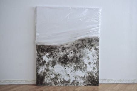 Artwork Title: Neglect