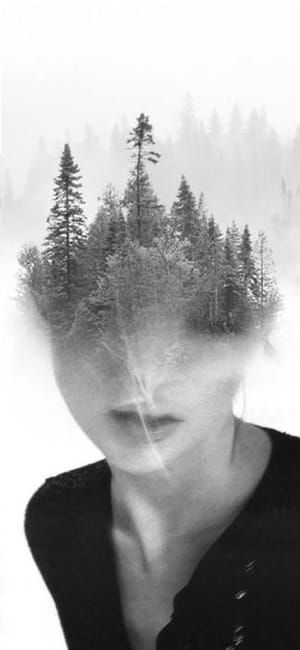Artwork Title: Woodkate