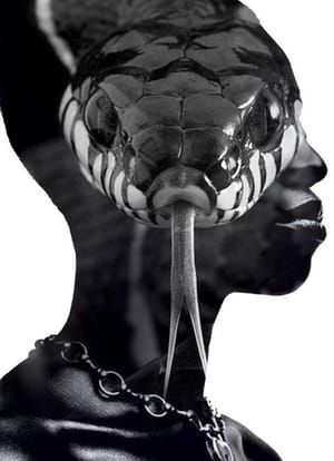 Artwork Title: Mamba