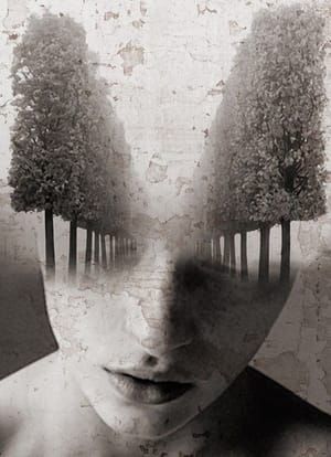 Artwork Title: Versailles Dream