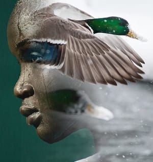 Artwork Title: Freedom