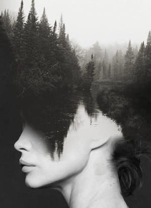 Artwork Title: Haute Coiffure