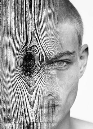 Artwork Title: Woodboy