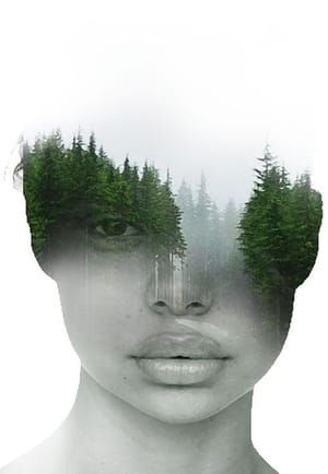 Artwork Title: En El Bosque