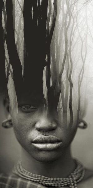 Artwork Title: Black Beauty