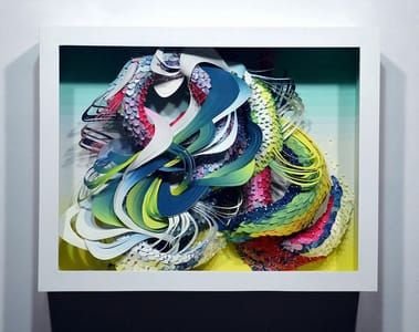 Artwork Title: Spectrum Bio Interloper Iii