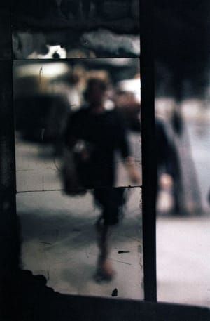 Artwork Title: Shopping