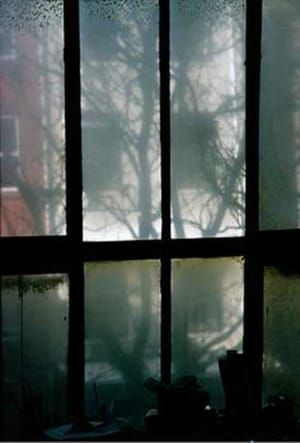 Artwork Title: Skylight