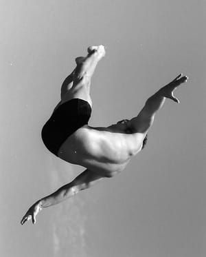 Artwork Title: [Diver-02-2011]