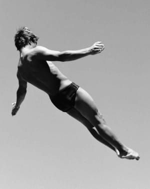 Artwork Title: Diver-01