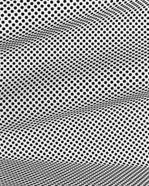 Artwork Title: Raster