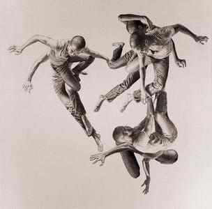 Artwork Title: Birdman