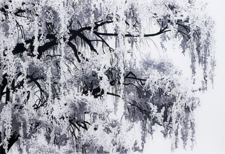 Artwork Title: Willow