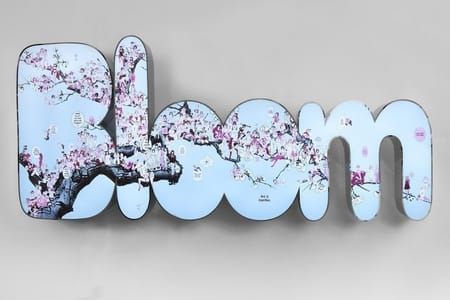 Artwork Title: Bloom