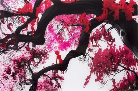 Artwork Title: Red Sugar Maple