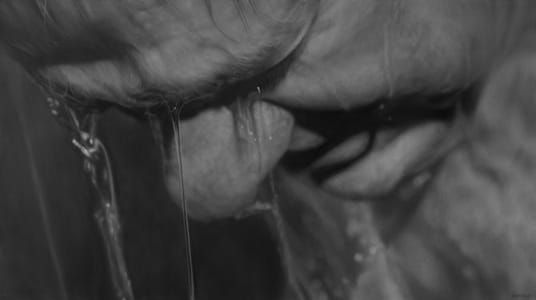 Artwork Title: Shower