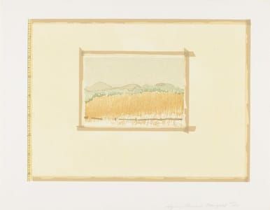 Artwork Title: Untitled From Aquatint, Sugarlift And Golden Changes