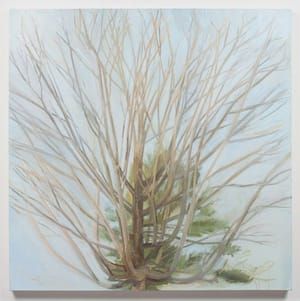 Artwork Title: Winter Maple