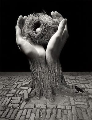 Artwork Title: Untitled