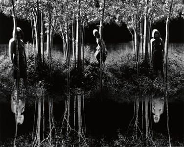 Artwork Title: Small Woods Where I Met Myself