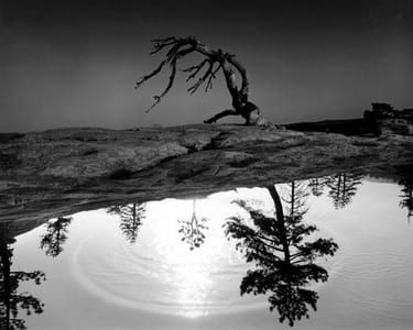 Artwork Title: Untitled