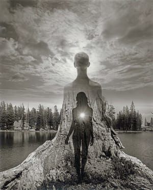 Artwork Title: Untitled
